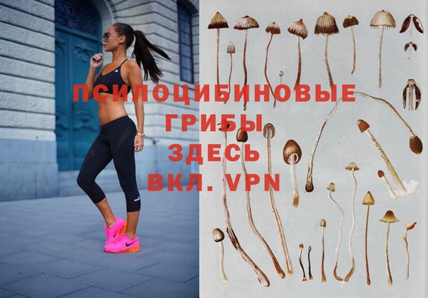 ешки Балабаново