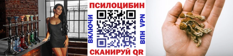Галлюциногенные грибы MAGIC MUSHROOMS  как найти наркотики  Лаишево 