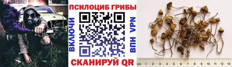 Псилоцибиновые грибы мицелий Лаишево